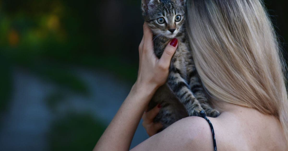 Жена държи в прегръдката си малко шарено коте