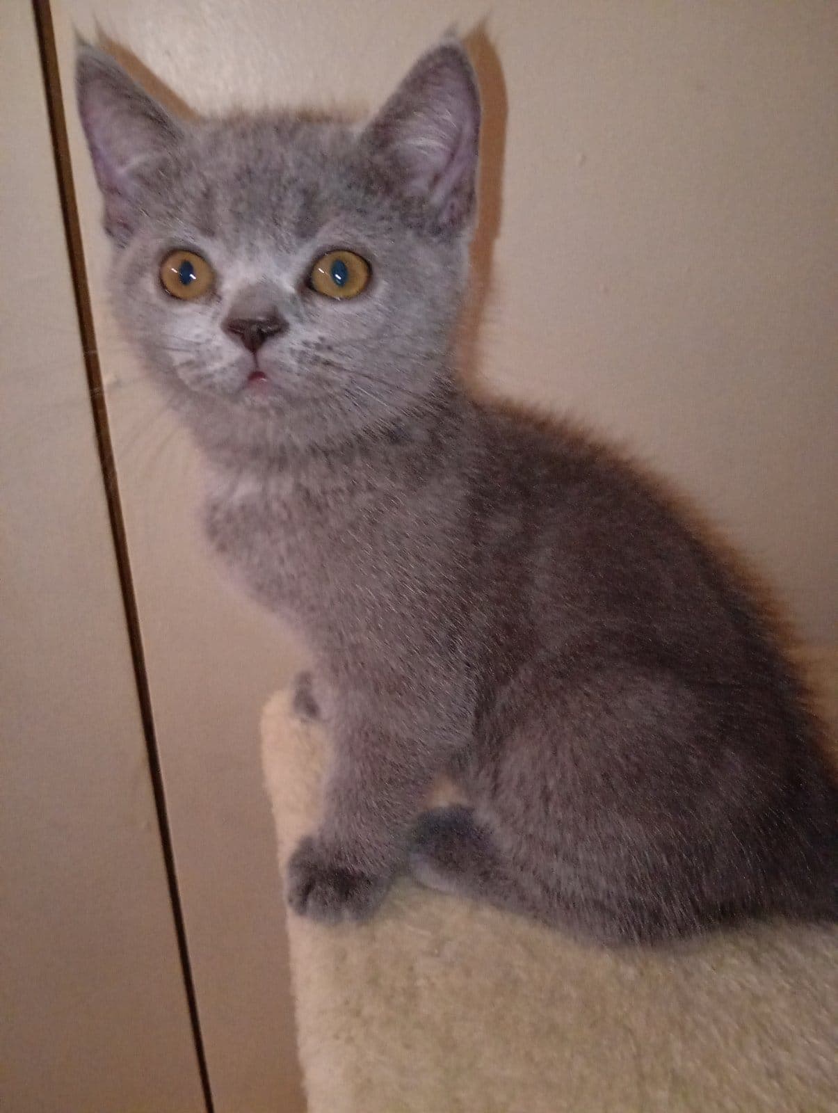 1 момче и 1 момиче