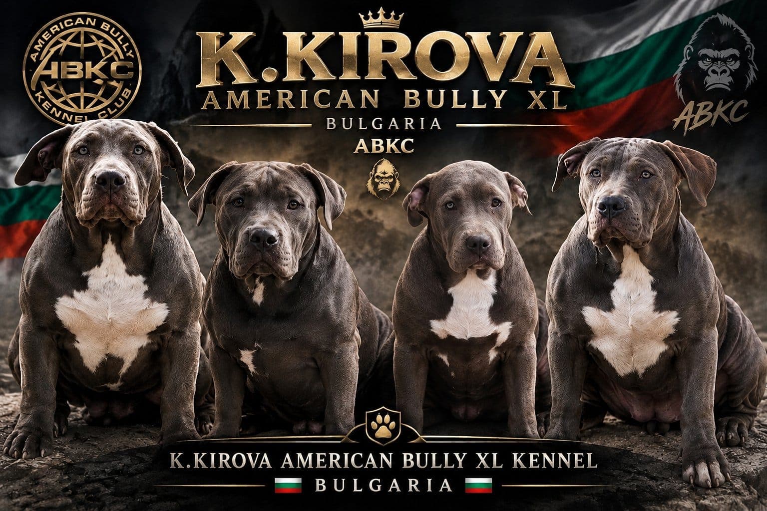 Американско були хл American bully xl — снимка 1