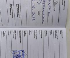Казвам се Даш и си търся постоянен дом!