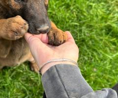 Малиноа Малиноа