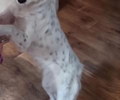 Подарява ме