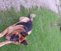 Среден косъм