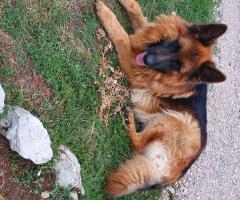 Среден косъм