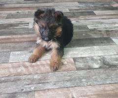 Среден косъм