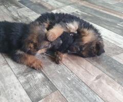 Среден косъм