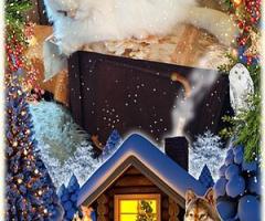 Персийски дългокосместа многоцветни принцове домашни любимци ваксинирани ЕС паспорти микрочипирани