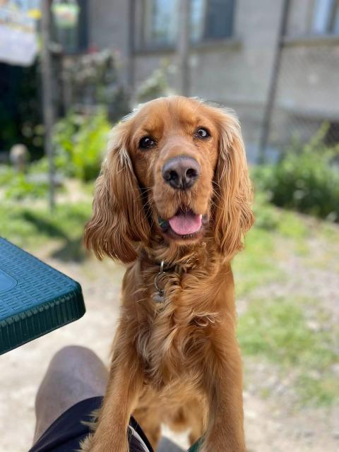 Търси партньорка