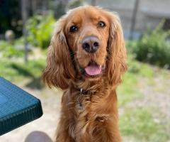 Търси партньорка