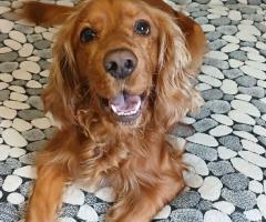 Търси партньорка