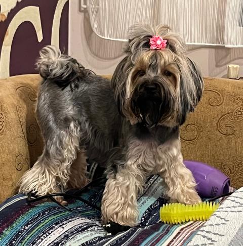 Две момичета ЩЕ търсят своя ЛЮБЯЩ дом