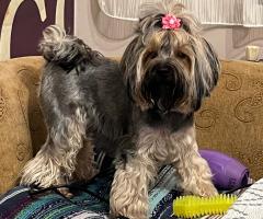 Две момичета ЩЕ търсят своя ЛЮБЯЩ дом