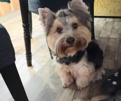 Две момичета ЩЕ търсят своя ЛЮБЯЩ дом