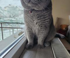 Арчи😻❤️😻