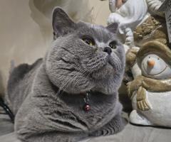 Арчи😻❤️😻