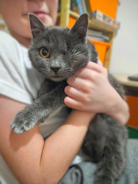 Ема търси своя човек – в София