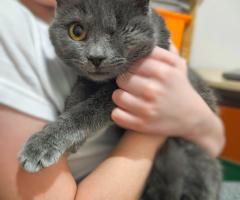 Ема търси своя човек – в София