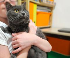 Ема търси своя човек – в София