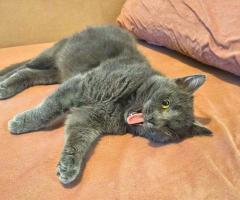 Ема търси своя човек – в София