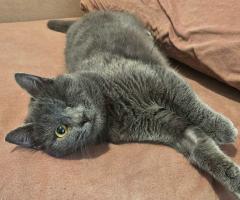 Ема търси своя човек – в София