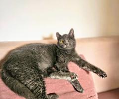 Ема търси своя човек – в София