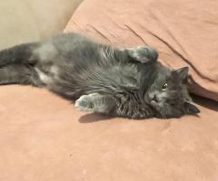 Ема търси своя човек – в София