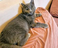 Ема търси своя човек – в София